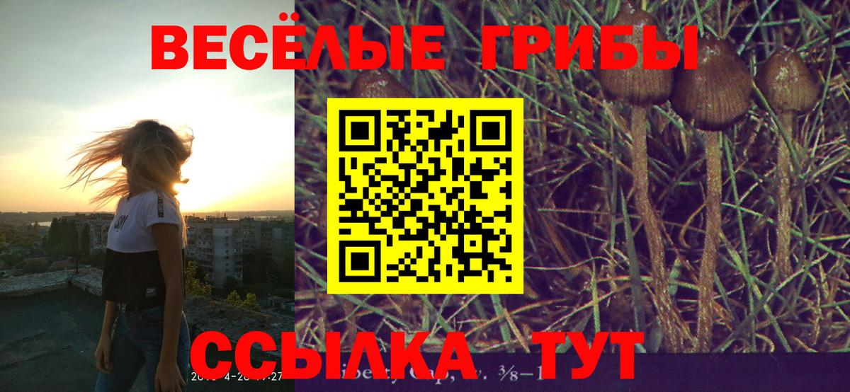 Галлюциногенные грибы прущие грибы Камень-на-Оби