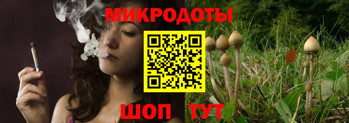 Камень-на-Оби  Галлюциногенные грибы прущие грибы  Псилоцибиновые грибы GOLDEN TEACHER  Вход с VPN 